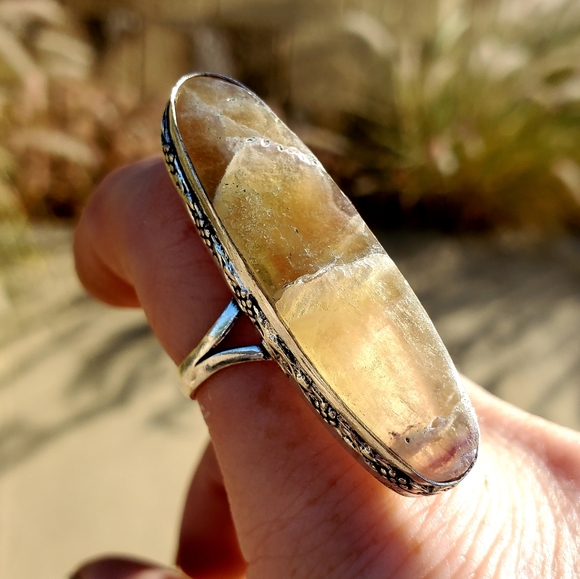 New Petrified Wood Jasper Silver Statement Ring. - Picture 5 of 13